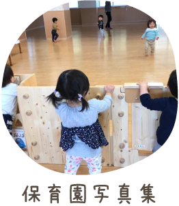 保育園写真集